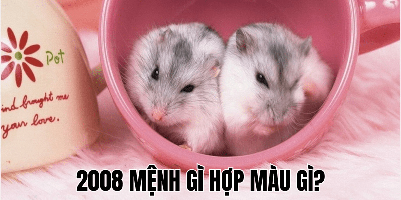 2008 Mệnh Gì Hợp Màu Gì