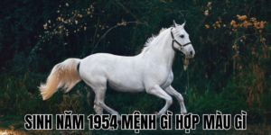 Sinh Năm 1954 Mệnh Gì Hợp Màu Gì