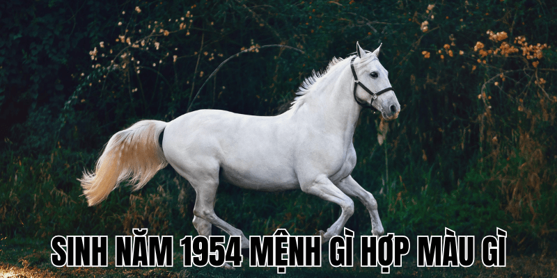 Sinh Năm 1954 Mệnh Gì Hợp Màu Gì