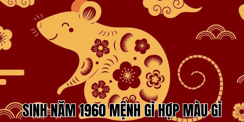 Sinh Năm 1960 Mệnh Gì Hợp Màu Gì - Màu Sắc Phong Thủy Tuổi Canh Tý 1 Sinh Nam 1960 Menh Gi Hop Mau Gi