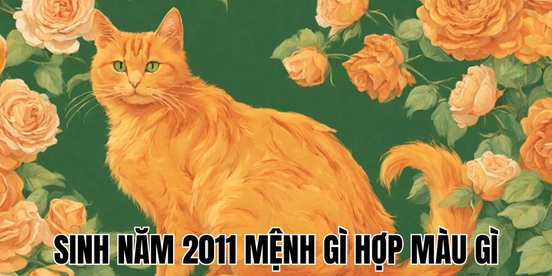 Sinh Năm 2011 Mệnh Gì Hợp Màu Gì