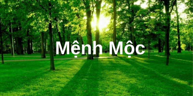 Sinh Năm 1950 Mệnh Gì Hợp Màu Gì - Hướng Dẫn Phong Thủy Chi Tiết 3 Tinh cach nguoi sinh nam 1950 menh Moc