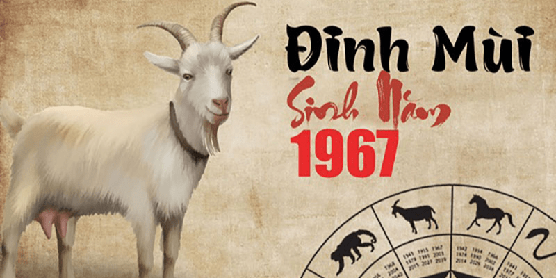 Tổng Quan Về Nữ Sinh Năm 1967 Mệnh Gì Hợp Màu Gì 3 Tinh cach va dac diem cua nu sinh nam 1967