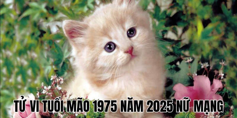 Dự Báo Tổng Quan Về Tử Vi Tuổi Mão 1975 Năm 2025 Nữ Mạng 1 Tử Vi Tuổi Mão 1975 Năm 2025 Nữ Mạng