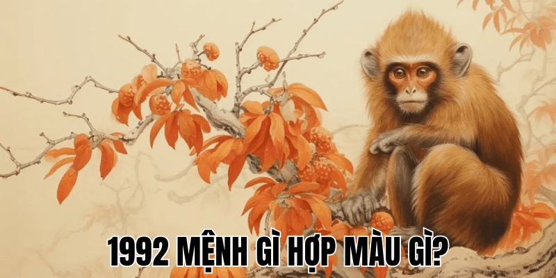 1992 Mệnh Gì Hợp Màu Gì? Bí Quyết Chọn Màu May Mắn Cho Tuổi Nhâm Thân 1 1992 Mệnh Gì Hợp Màu Gì