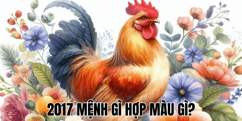 2017 Mệnh Gì Hợp Màu Gì
