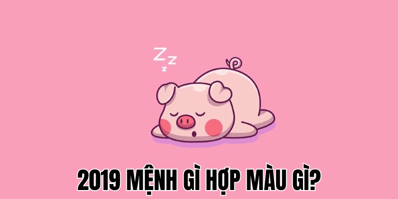 2019 Mệnh Gì Hợp Màu Gì? Bí Quyết Phong Thủy Cho Tuổi Kỷ Hợi 1 2019 Mệnh Gì Hợp Màu Gì