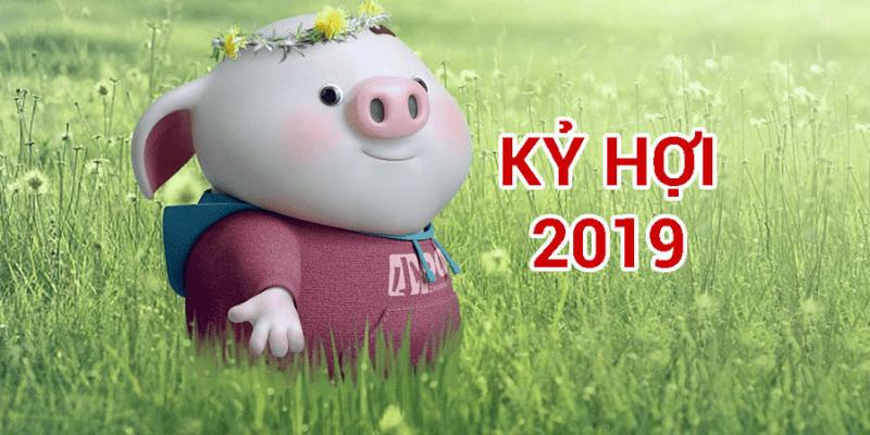 2019 Mệnh Gì Hợp Màu Gì? Bí Quyết Phong Thủy Cho Tuổi Kỷ Hợi 2 Tong quan ve tuoi Ky Hoi sinh nam 2019