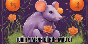 Tuổi Tý Mệnh Gì Hợp Màu Gì - Bí Quyết Chọn Màu Hút Tài Lộc Theo Năm Sinh 1 Tuổi Tý Mệnh Gì Hợp Màu Gì